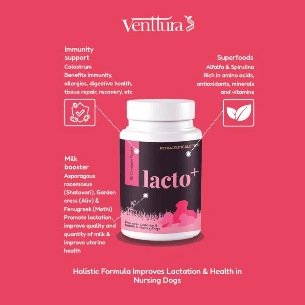 Venttura Lacto Plus Milk Boosters for Dogs – Chewable Supplement - dspetstore.com