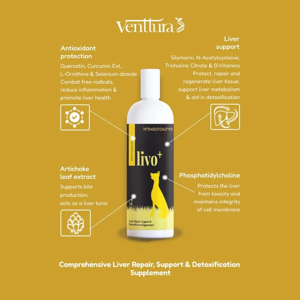 Venttura Livo Plus Liver Support Syrup for Dogs – 200ml - dspetstore.com