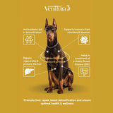 Venttura Livo Plus Liver Support Syrup for Dogs – 200ml - dspetstore.com