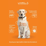Venttura Nutri+ Pro Multi - Vitamin for Dogs – 60 Chewables - dspetstore.com
