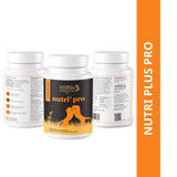 Venttura Nutri+ Pro Multi - Vitamin for Dogs – 60 Chewables - dspetstore.com