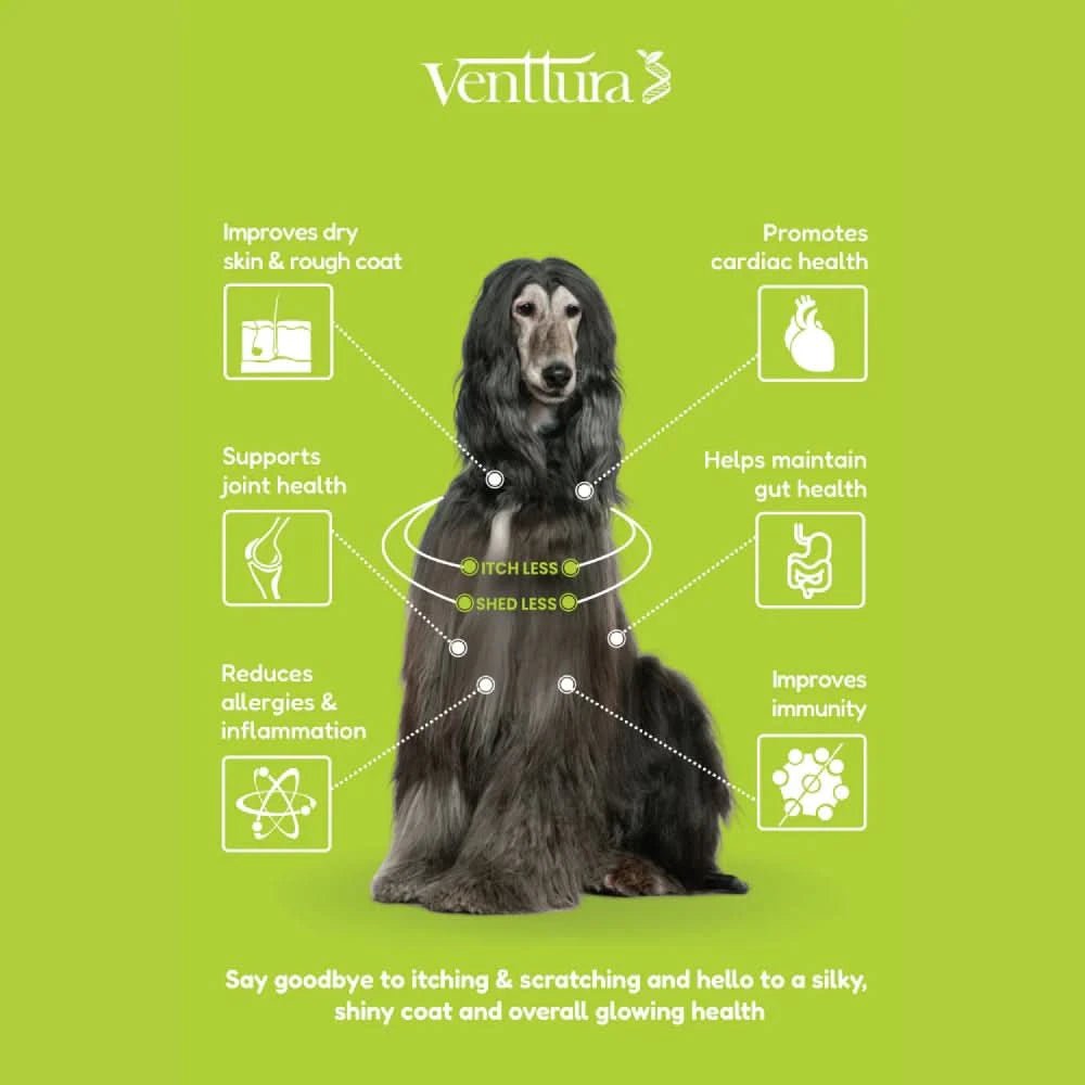 Venttura Omega Plus Skin & Coat Syrup for Dogs – 200ml - dspetstore.com