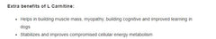 Vetina Canigel Multi Vitamin Paste for Dogs - dspetstore.com