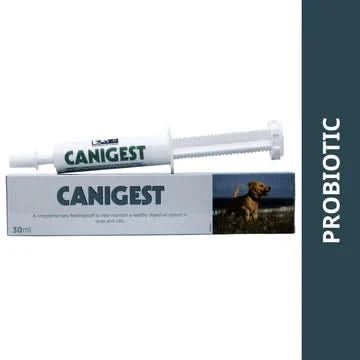 Vetina Canigest Paste for Dogs & Cats - dspetstore.com