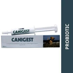 Vetina Canigest Paste for Dogs & Cats - dspetstore.com