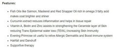 Vetina Soft Coat Syrup for Dogs and Cats (250ml) - dspetstore.com