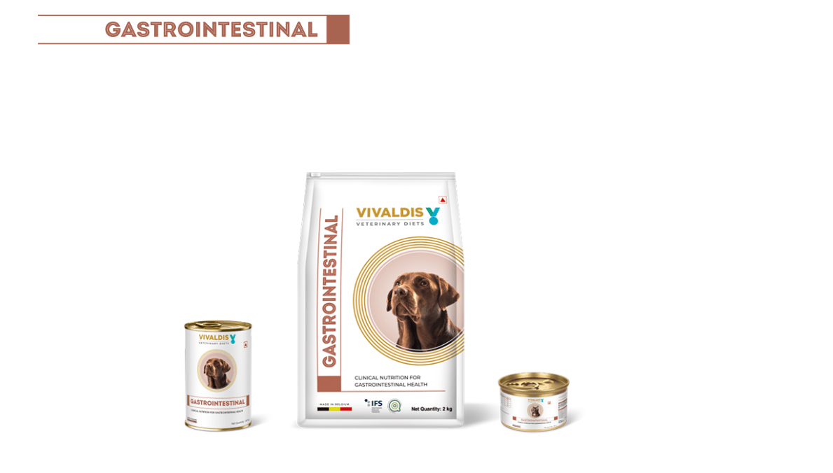 Vivaldis V Diet Gastrointestinal Dog Dry Food – 2kg - dspetstore.com