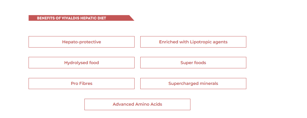 List of benefits of Vivafit's Hepatic Diet on a white background
