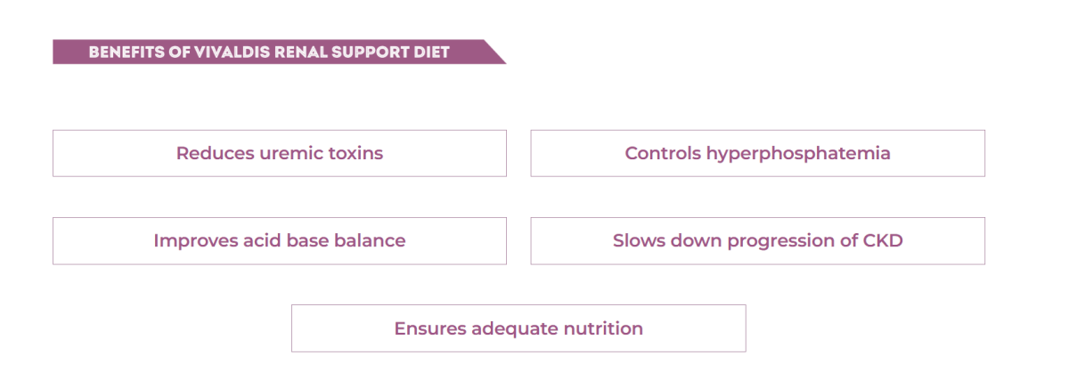 Vivaldis V Diet Renal Support Dog Dry Food – 2kg - dspetstore.com