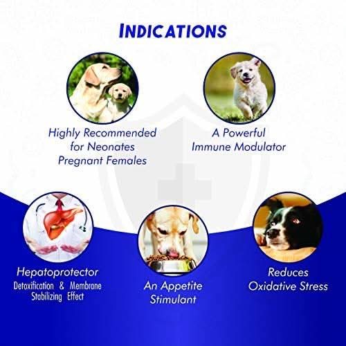 List of dog health benefits with images and text on a blue background