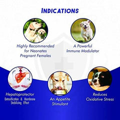 List of dog health benefits with images and text on a blue background