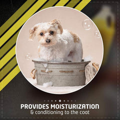 Wahl Absolute Purple Shampoo 1 Gallon - dspetstore.com