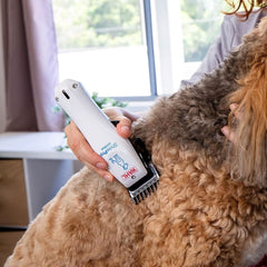 Wahl Cordless Lithium ShowPro Pet Clipper - dspetstore.com