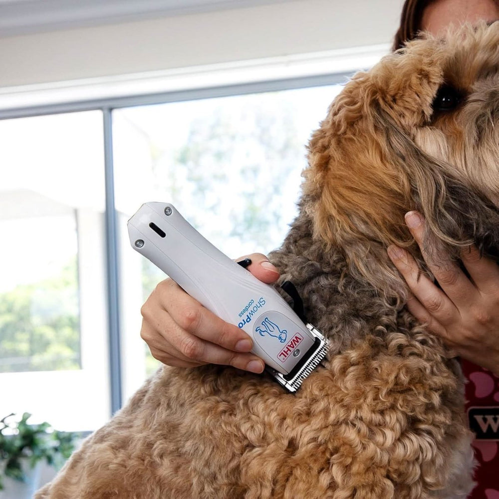 Wahl Cordless Lithium ShowPro Pet Clipper - dspetstore.com