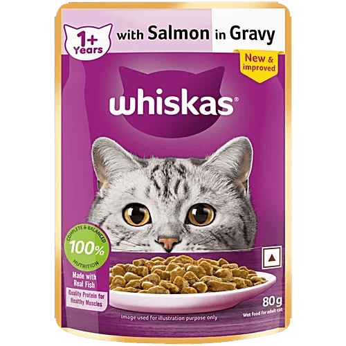 Whiskas cat food pouch with salmon in gravy on a purple background