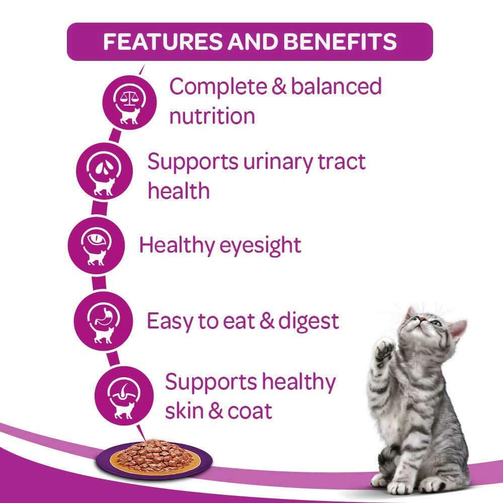 Cat food features and benefits with a cat sitting next to a bowl of food on a white background.