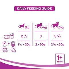 Daily feeding guide for cats with weight categories and food types on a purple background