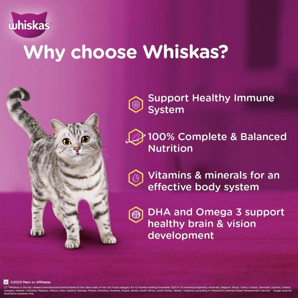 Whiskas Kitten Wet Food Mackerel Jelly (2 - 12 Months) - dspetstore.com