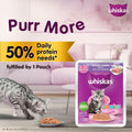 Whiskas Kitten Wet Food Mackerel Jelly (2 - 12 Months) - dspetstore.com