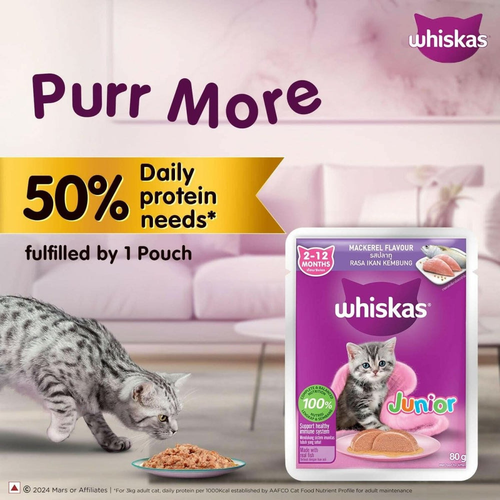 Whiskas Kitten Wet Food Mackerel Jelly (2 - 12 Months) - dspetstore.com