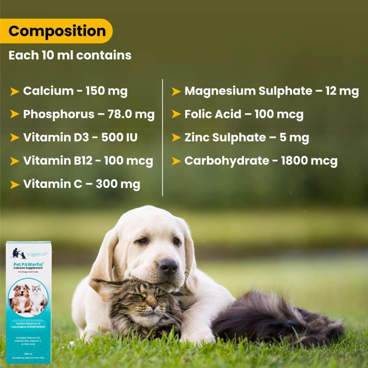 Wiggles PAWerful Calcium Phosphorus Syrup for Dogs and Cats – 200ml - dspetstore.com