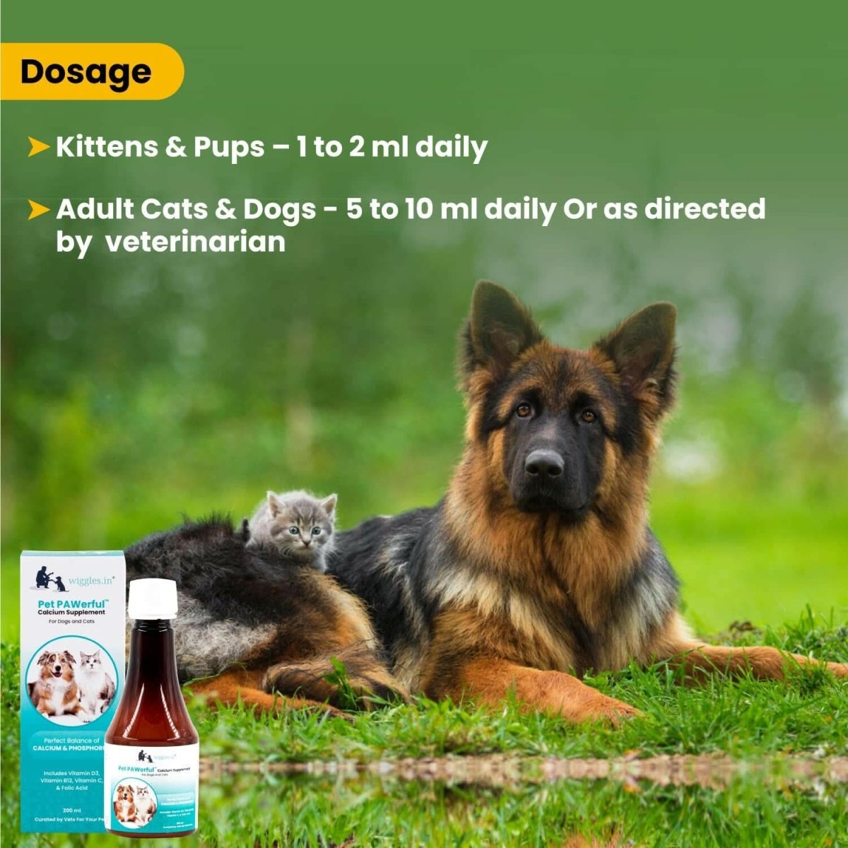 Wiggles PAWerful Calcium Phosphorus Syrup for Dogs and Cats – 200ml - dspetstore.com