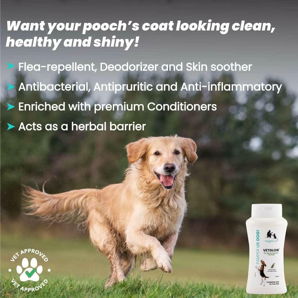 Wiggles Vetglow Dog Shampoo – 200ml - dspetstore.com