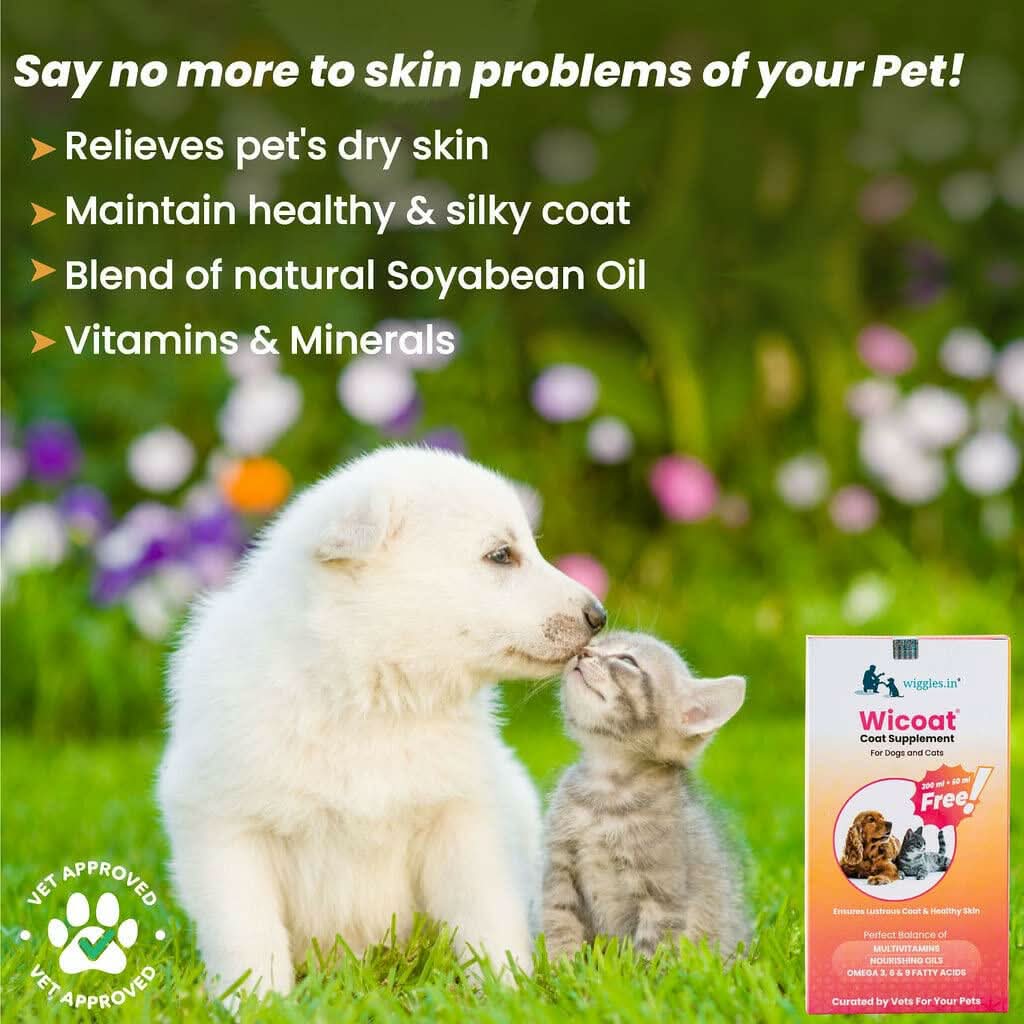 Wiggles Wicoat Syrup for Dogs & Cats - dspetstore.com
