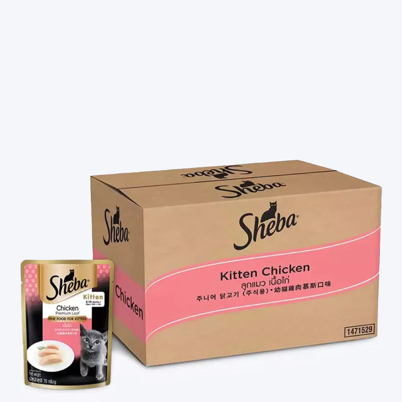 Sheba Chicken Loaf Premium Kitten Wet Food (2-12 Months).