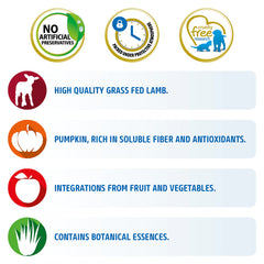 Farmina N&D Pumpkin Lamb & Blueberry Grain Free Medium & Maxi Breed Dry Puppy Food.