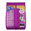 Whiskas Skin & Coat Adult Dry Food, Chicken & Salmon for Cats.