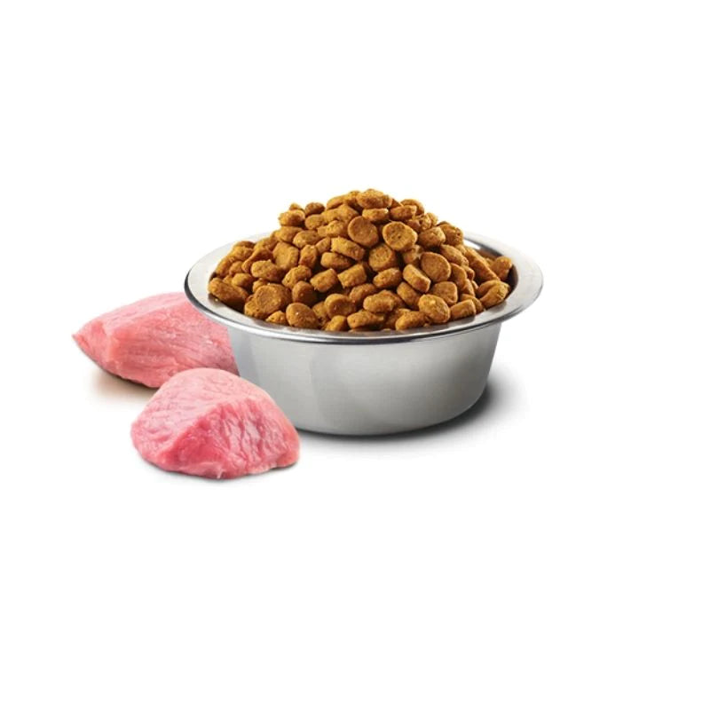 Farmina N&D Pumpkin Chicken & Pomegranate Grain Free Adult Maxi Medium Dog Dry Food.