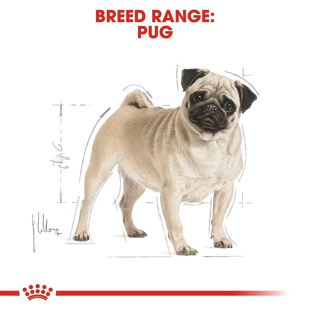 Royal Canin Pug Adult Dog Food.