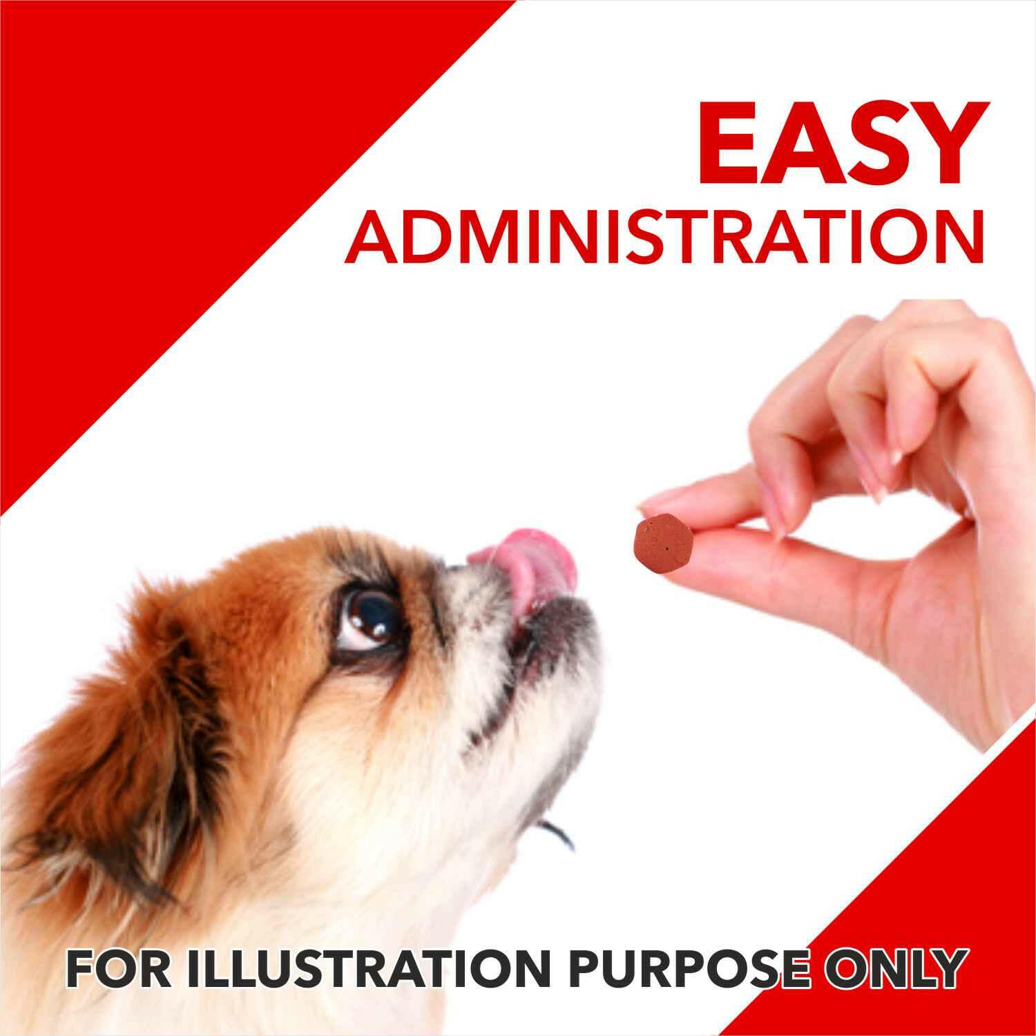 Drools Absolute Calcium Dog Supplement.