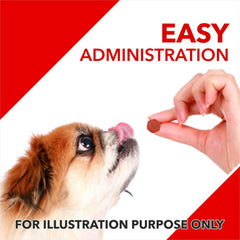 Drools Absolute Calcium Dog Supplement.