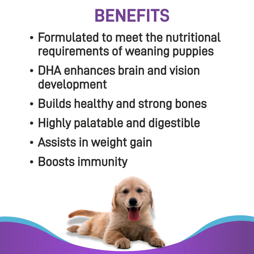 Canine Creek Pup Booster Puppy Weaning Diet for All Breeds.