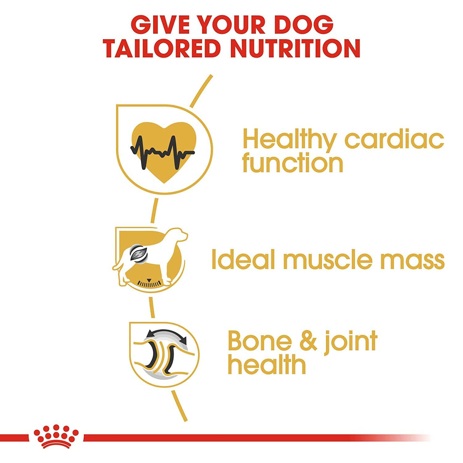 Dog food for joint health
