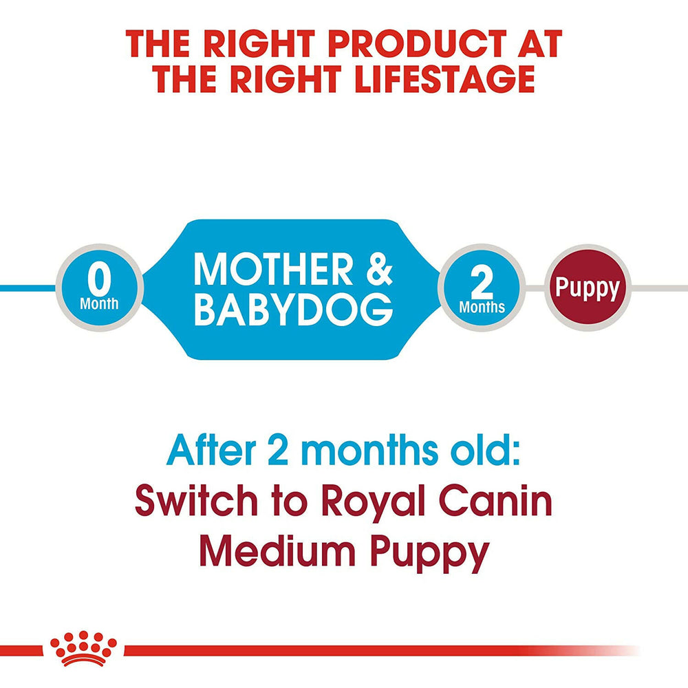 Royal Canin Medium Starter Dry Dog Food.