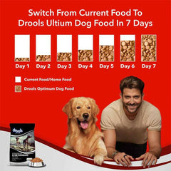 Drools Ultium Performance Adult Dog Dry Food 20 kg.