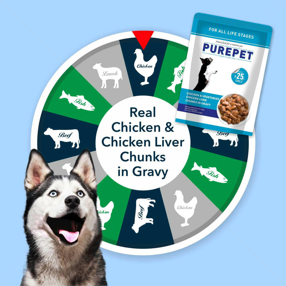 Purepet Gravy Chunks Wet Dog Food – Chicken & Vegetable Flavour, 70 g.