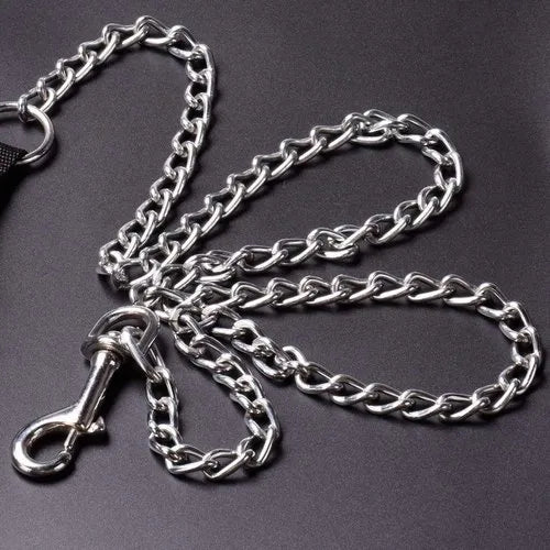 Eagle Pet Products Heavy Duty Metal Dog Leash with Handle for Small & Medium Size Dogs.