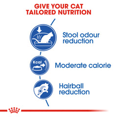 Royal Canin Indoor Adult Dry Cat Food.