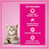 Let's Bite Active Kitten Ocean Fish Cat Dry Food (Buy 1 Get 1 Free).