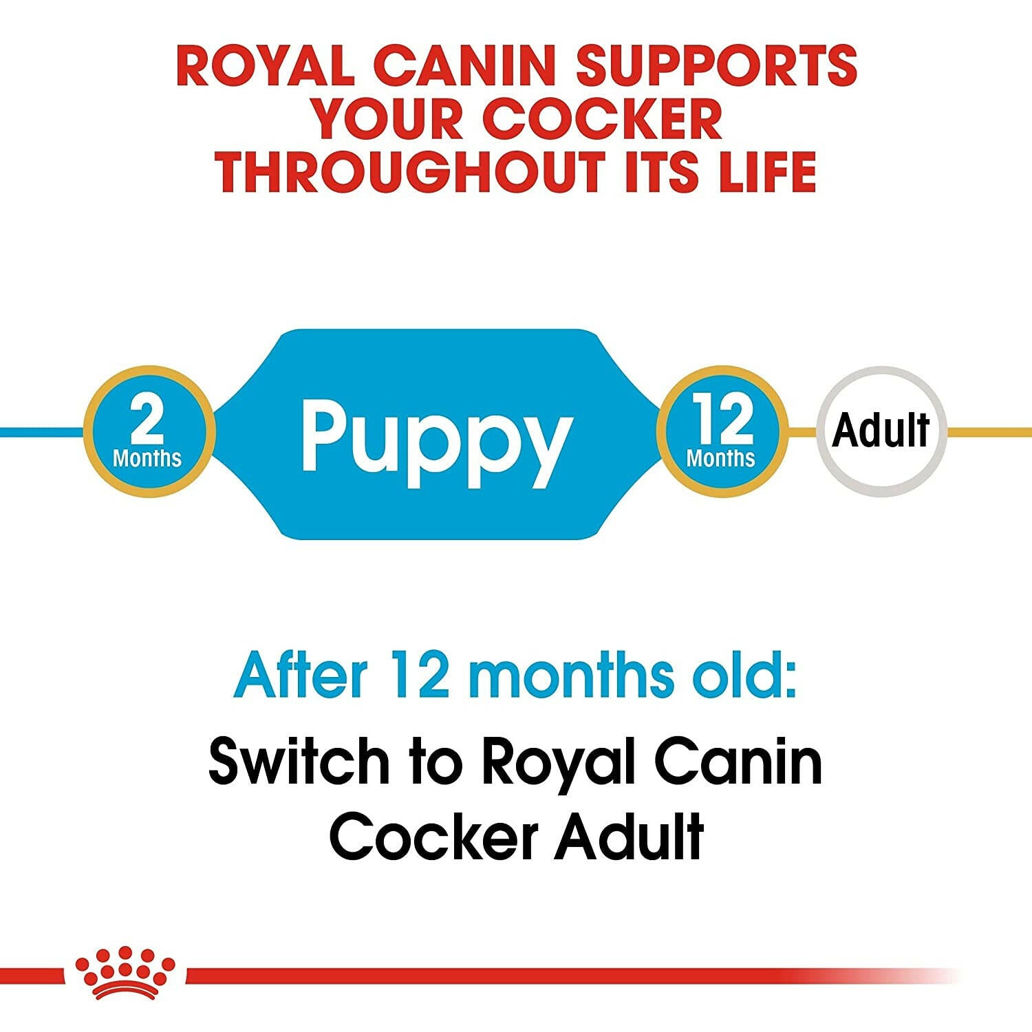 Cocker Spaniel Puppy Food for Digestive Health
