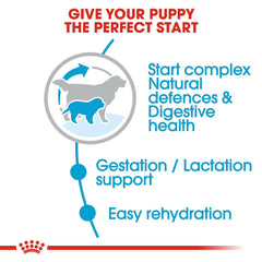 Royal Canin Giant Starter Dog Food.
