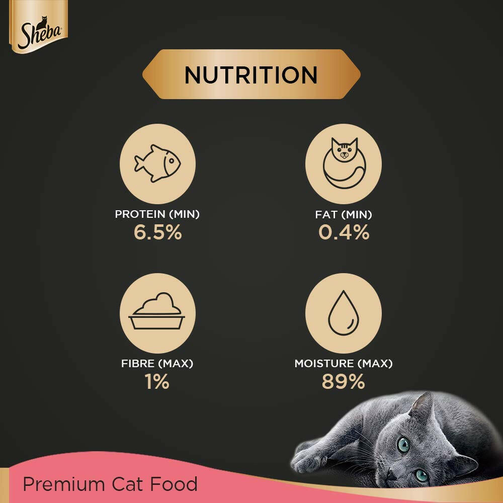 Food kitten loaf, nutritious meal