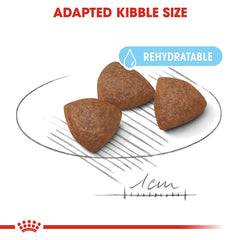 Royal Canin Medium Starter Dry Dog Food.
