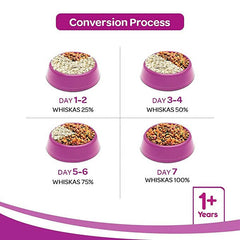 Whiskas Ocean Fish Dry Food for Adult Cats.