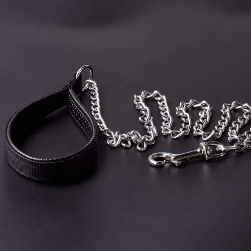 Eagle Pet Products Heavy Duty Metal Dog Leash with Handle for Small & Medium Size Dogs.