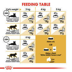 Royal Canin Persian Adult Dry Cat Food.